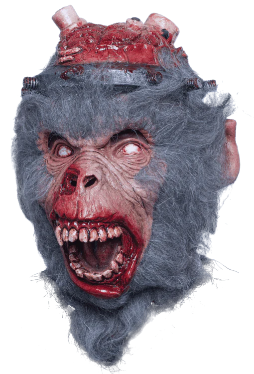 C.P.082 LAB MONKEY
